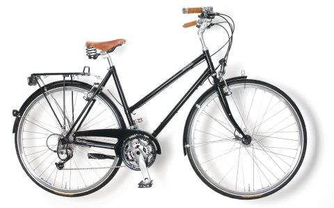 Ein sportlicher Begleiter